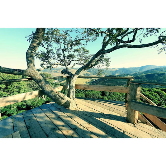 Brazil: Carmo De Minas 1 lb – 5 lb Bag