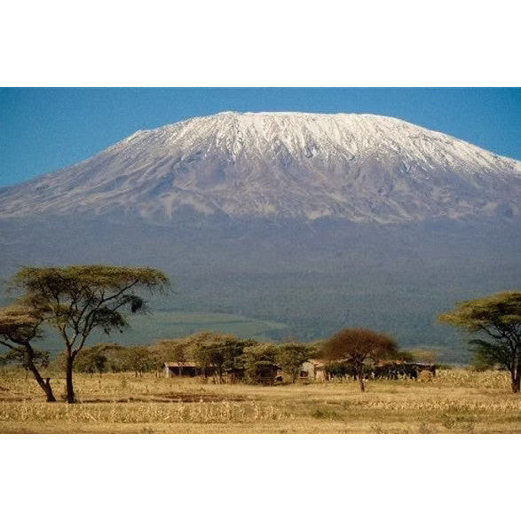 Tanzania: Peaberry – 1 lb – 5 lb Bag